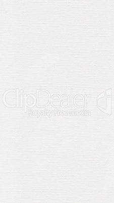 White paper texture background - vertical