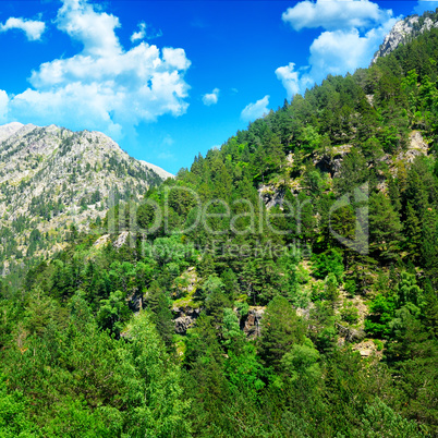 beautiful mountain landscape and blue sky