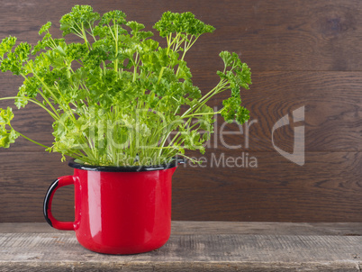 Healthy ingredients, fresh parsley