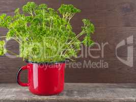 Healthy ingredients, fresh parsley