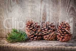 Pine cones and branch