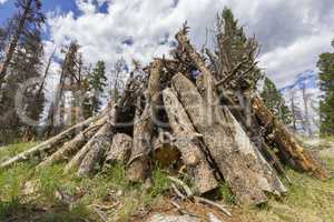 Woodpile