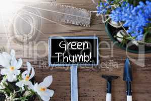 Sunny Spring Flowers, Sign, Text Green Thumb