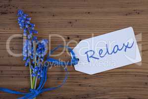 Srping Grape Hyacinth, Label, Relax