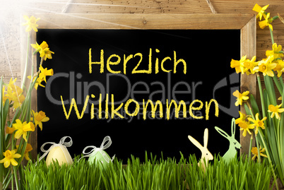 Sunny Narcissus, Easter Egg, Bunny, Herzlich Willkommen Means Welcome