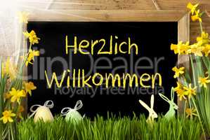 Sunny Narcissus, Easter Egg, Bunny, Herzlich Willkommen Means Welcome