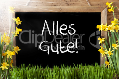 Sunny Spring Narcissus, Chalkboard, Alles Gute Means Best Wishes