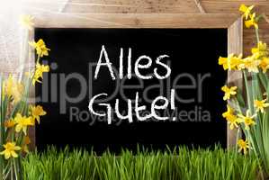 Sunny Spring Narcissus, Chalkboard, Alles Gute Means Best Wishes