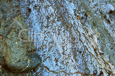 clay soil, mixed clay, sea cliff