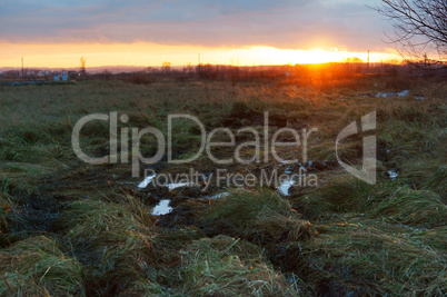 sunset in the field, puddles and mud in the field
