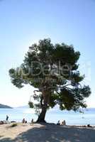 Strand an der Formentor-Halbinsel, Mallorca