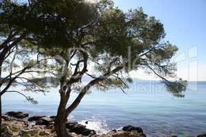 Küste an der Formentor-Halbinsel, Mallorca