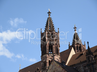 Freiburger Münster