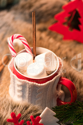 Hot chocolate with marshmallows