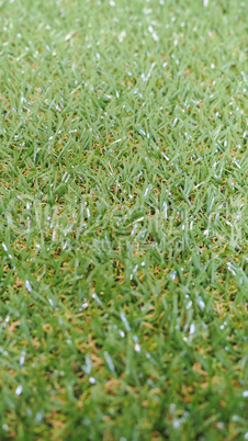 Artificial grass