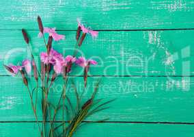 Bouquet of wild flowers carnation on the green wooden surface