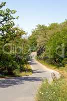 Country road in tarmac.