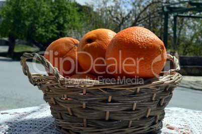 Several oranges bios in a basket in wicker.