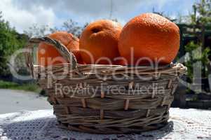 Several oranges bios in a basket in wicker