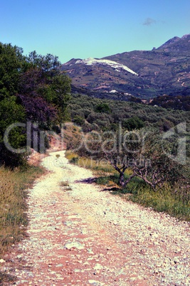 A path of mountains.