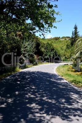 A country road in Crete.