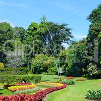 magnificent tropical park with flower beds, lawns and trees