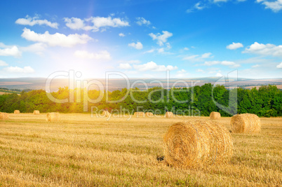 Straw bales on a wheat field and sunrise on blue sky