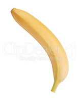 raw Yellow Banana Isolated