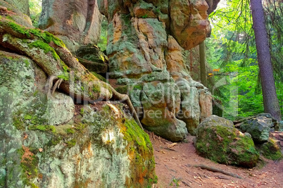 Felsen im Heuscheuergebirge in Schlesien - rocks in Stolowe Mountains in Silesia