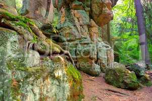 Felsen im Heuscheuergebirge in Schlesien - rocks in Stolowe Mountains in Silesia