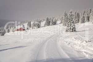 Riesengebirge im Winter - Giant Mountains in winter