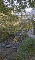 Minnehaha Creek Dried Up