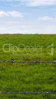 Green grass surface background - vertical