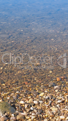 Underwater view