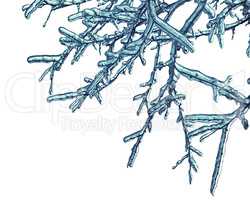 Winter background with icy branches in the foreground