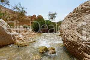 Small creek in the desert (Wadi Ibn Hammad in Jordan)