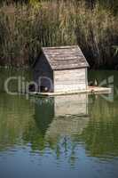 duck house at the pond