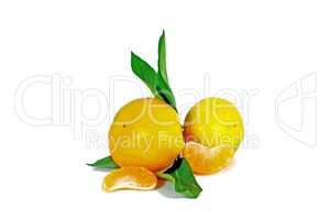 Ripe mandarines, fruit