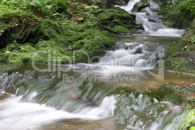 Rapids at the forest creek - long exposure