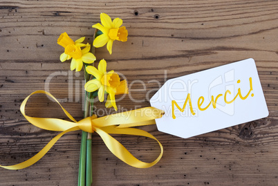 Yellow Spring Narcissus, Label, Merci Means Thank You