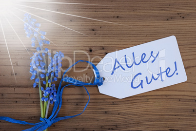 Sunny Srping Grape Hyacinth, Label, Alles Gute Means Best Wishes