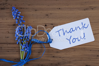 Srping Grape Hyacinth, Label, Thank You