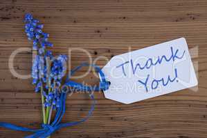 Srping Grape Hyacinth, Label, Thank You
