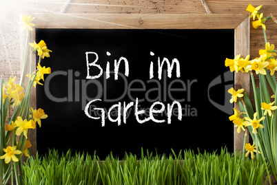 Sunny Narcissus, Chalkboard, Im Garten Means In The Garden