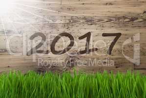 Sunny Wooden Background, Gras, Text 2017