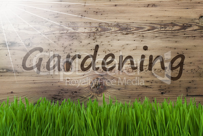 Sunny Wooden Background, Gras, Text Gardening
