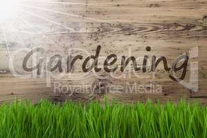 Sunny Wooden Background, Gras, Text Gardening