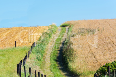 Einsamer Feldweg im Sommer