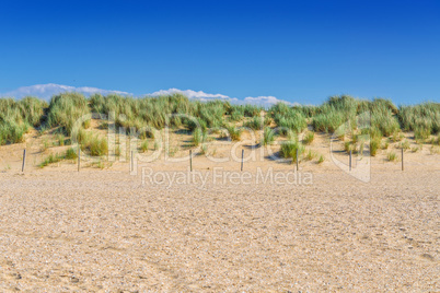 Landschaftsschutzgebiet, Düne am Strand von Holland