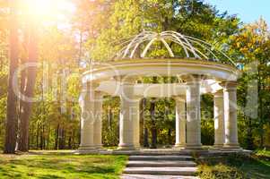 beautiful gazebo in autumn park